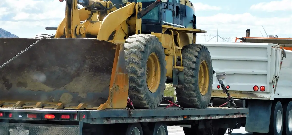 profiling heavy metal bobcats